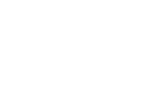 finns-white-logo