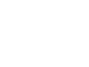 slap-white-logo