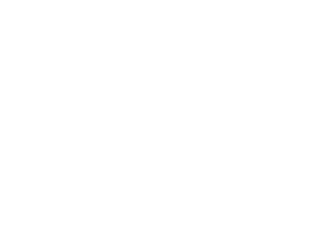 spot-on-white-logo