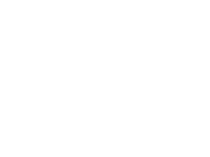 the-rink-logo