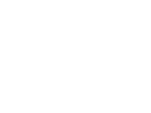 w-hotels-white-logo